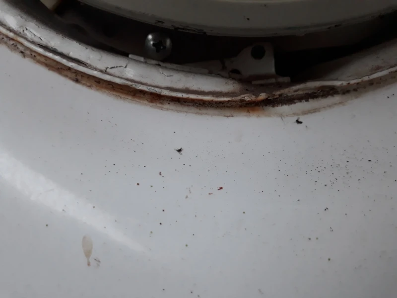 Faro De Cristal Rayado Con Socket De Luz De Cuarto Para VW Sedan, Combi, Safari, Caribe, Hormiga - Imagen 11