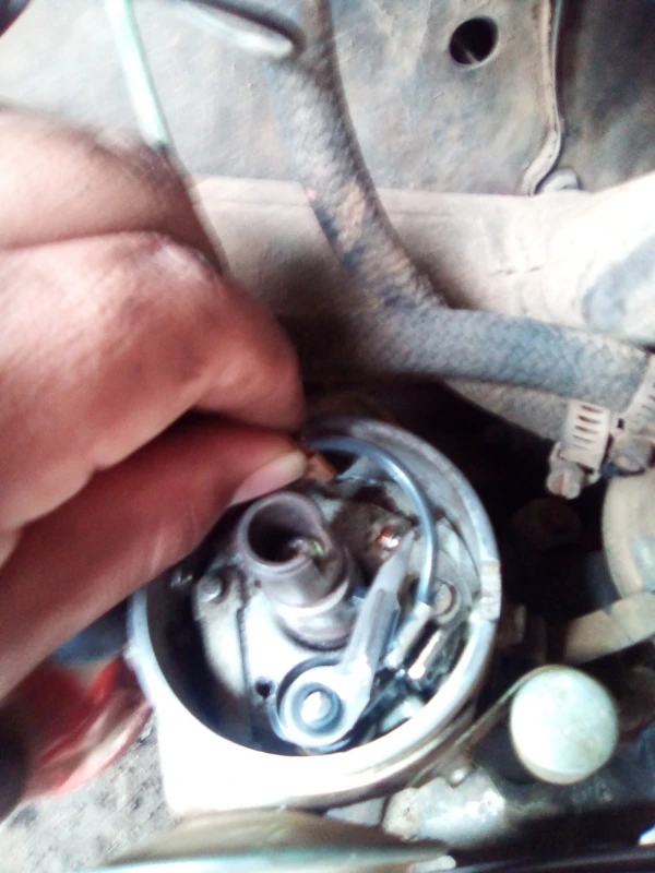 Platino De Corriente De Distribuidor Bosch Para VW Sedan 1600, Combi 1600, Caribe, Brasilia, Safari - Imagen 17