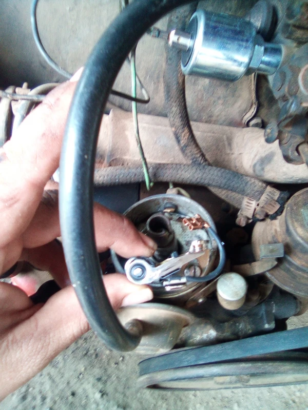 Platino De Corriente De Distribuidor Bosch Para VW Sedan 1600, Combi 1600, Caribe, Brasilia, Safari - Imagen 15