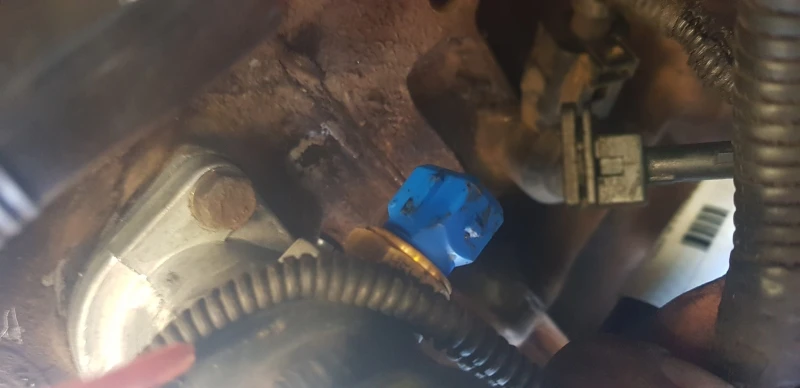 Bulbo Sensor De Temperatura De Motor Con Conector Azul Hella Para Pointer - Imagen 7