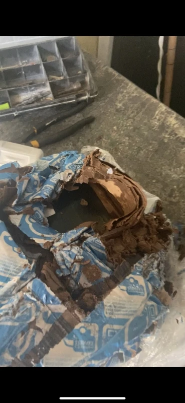 Batería Automotriz G-99 Gonher - Imagen 4