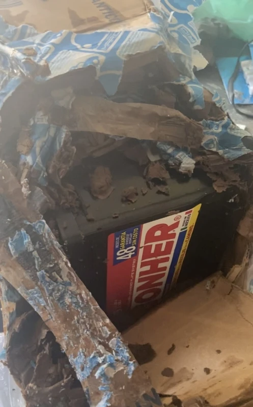 Batería Automotriz G-99 Gonher - Imagen 6