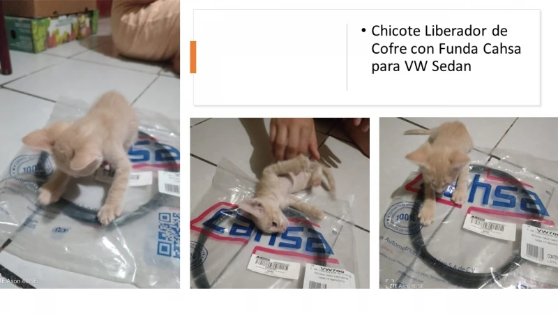 Chicote Liberador De Cofre Con Funda Cahsa Para VW Sedan - Imagen 5